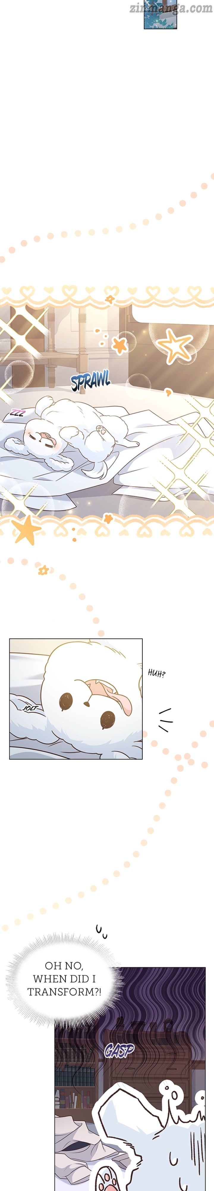 Read A Night With The Emperor Manga Online
