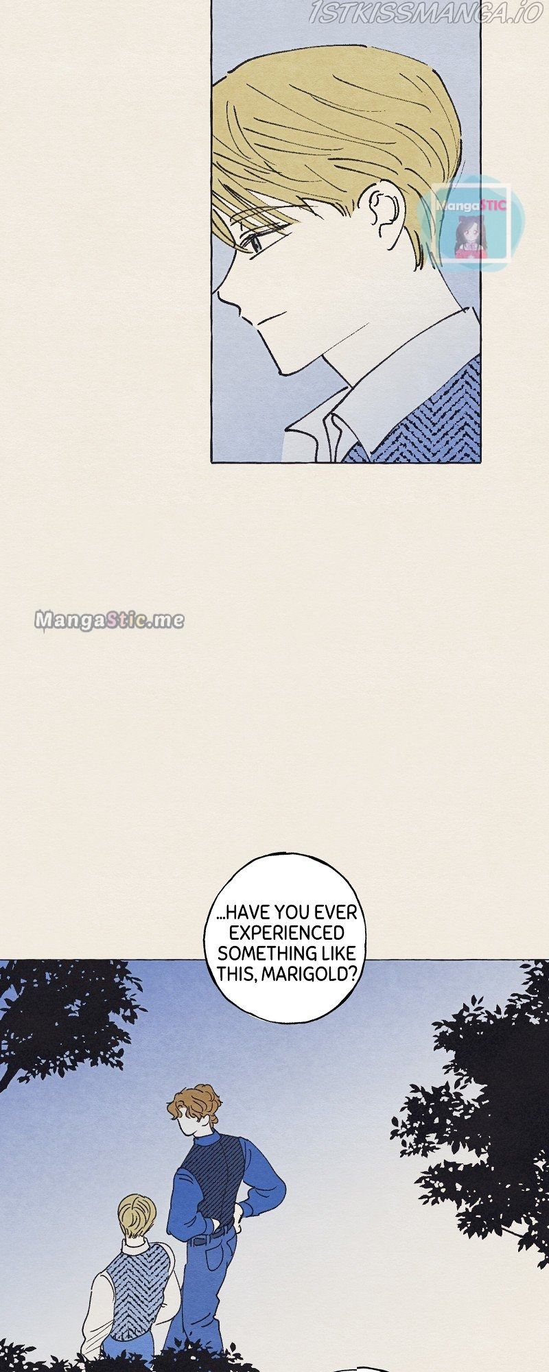 Read Aurora’s Sanctuary for Lost Things Manga Online