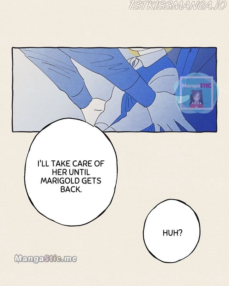 Read Aurora’s Sanctuary for Lost Things Manga Online