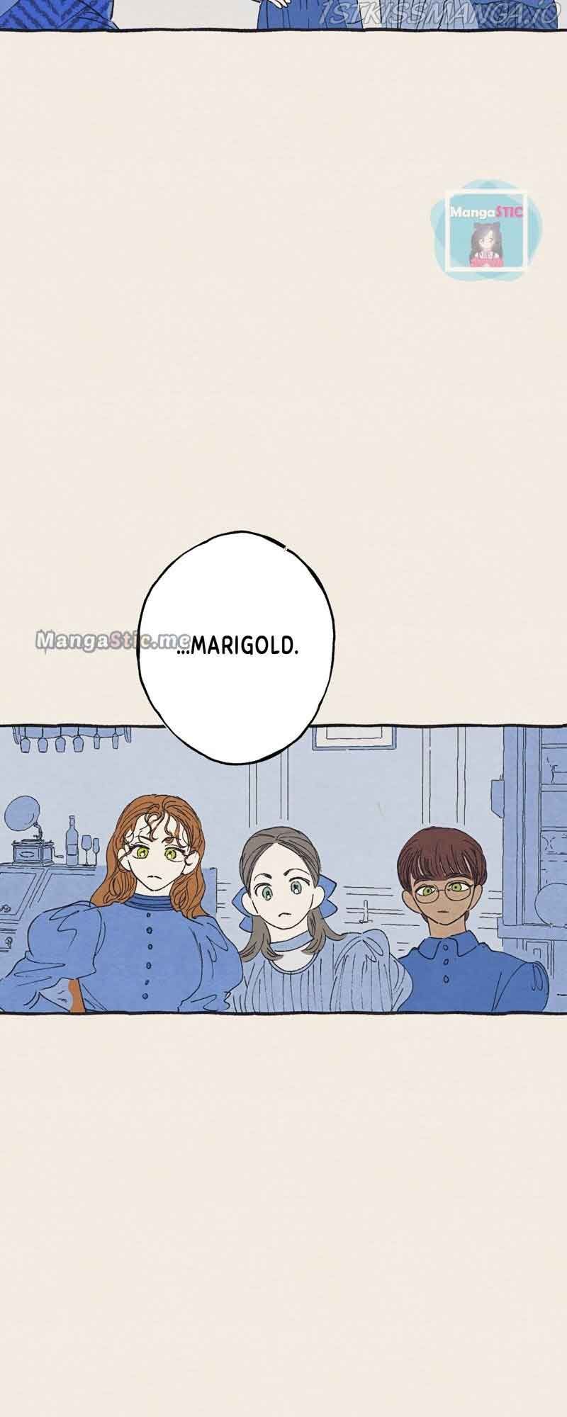 Read Aurora’s Sanctuary for Lost Things Manga Online