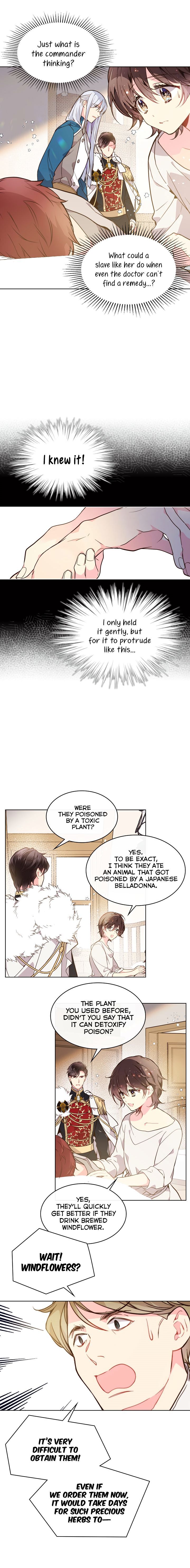 Read Beatrice Manga Online