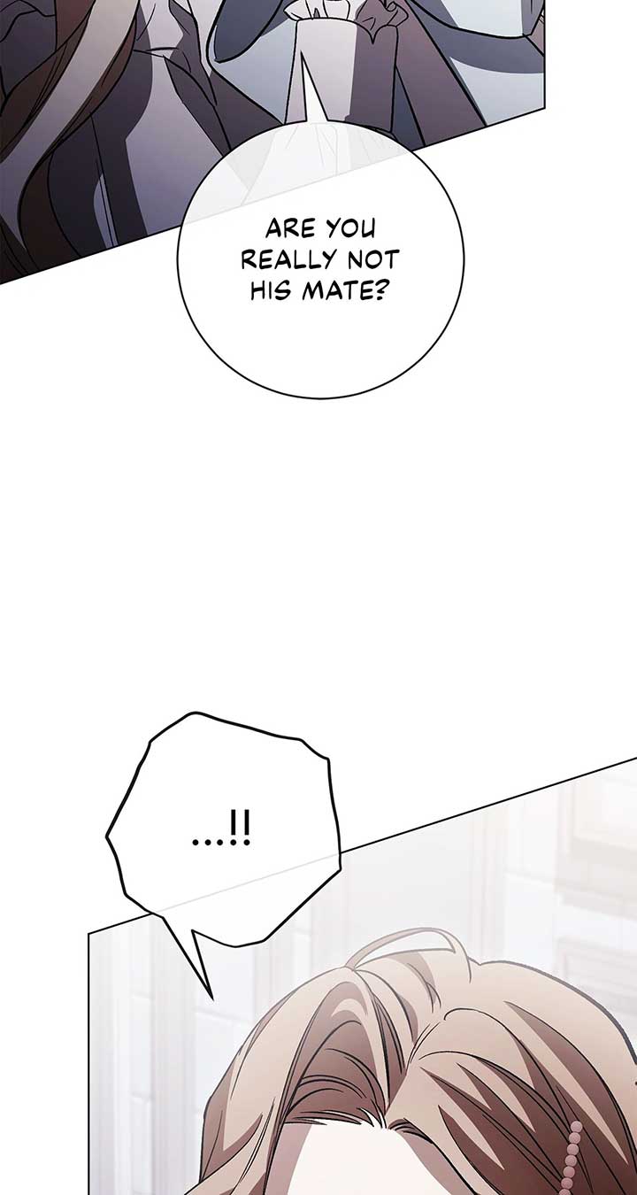 Read Black Chain Manga Online
