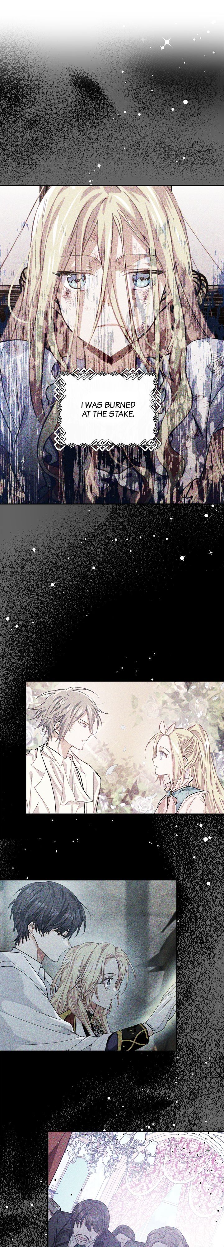 Read Doctor Elise The Royal Lady with the Lamp Manga Online