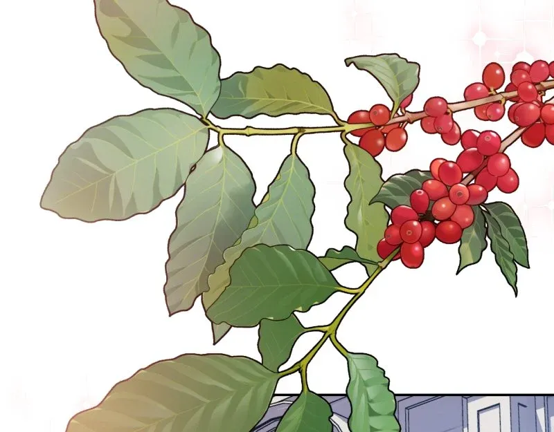 Read Doctor Elise The Royal Lady with the Lamp Manga Online