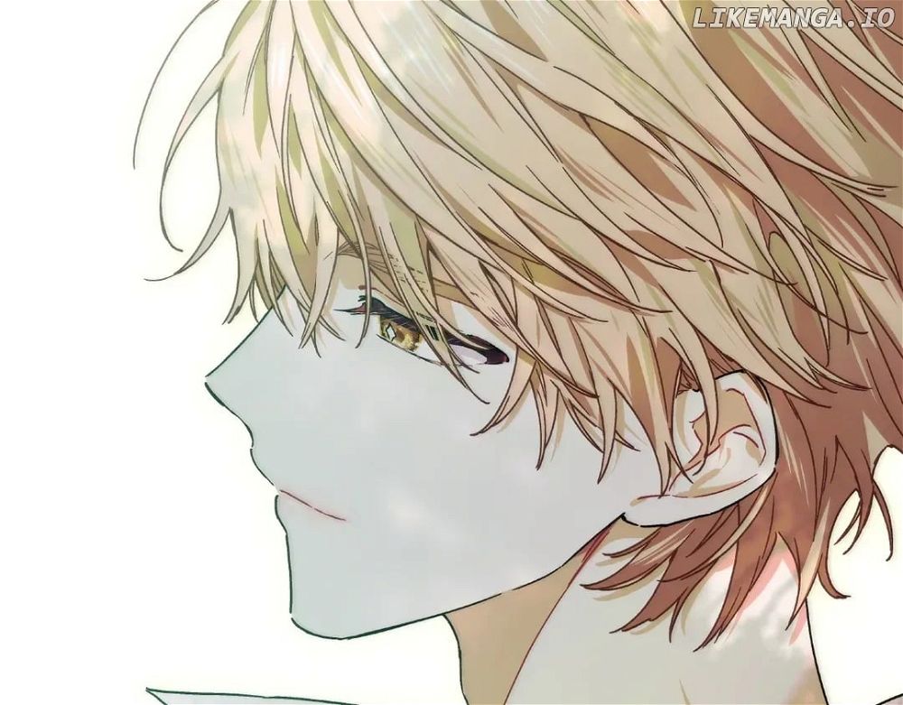 Read Doctor Elise The Royal Lady with the Lamp Manga Online