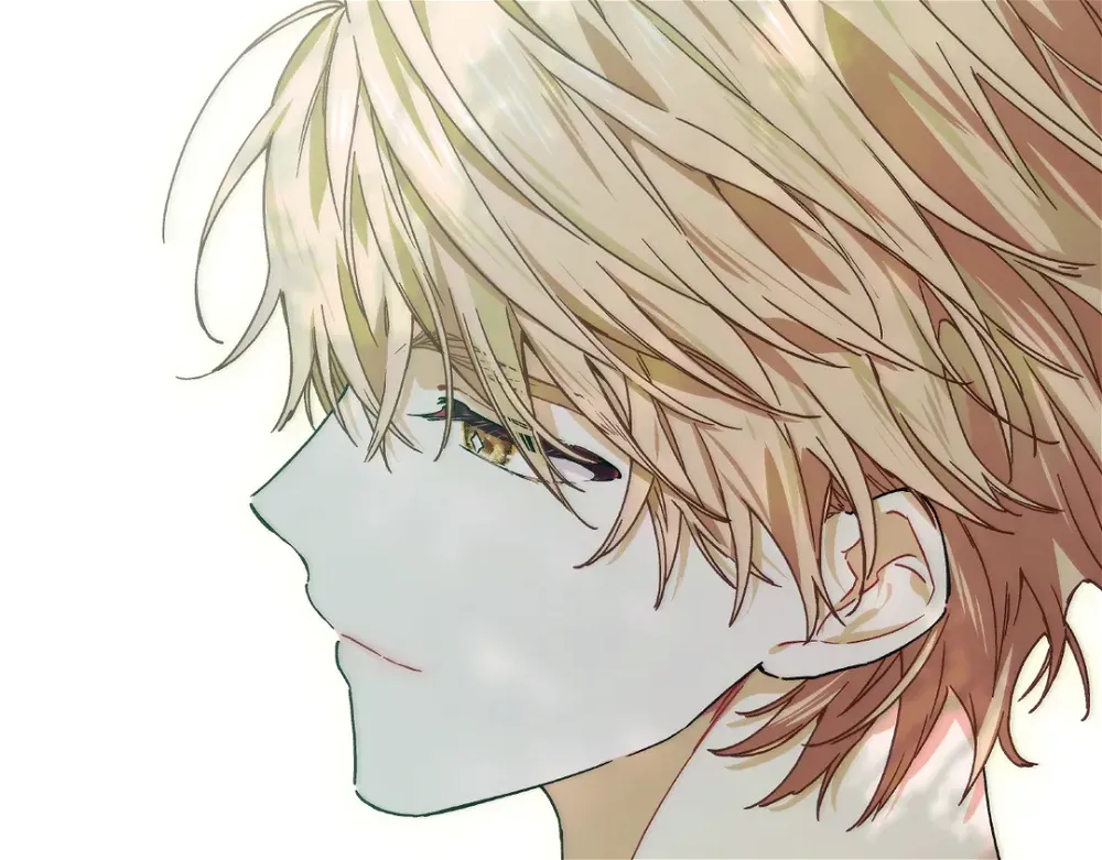Read Doctor Elise The Royal Lady with the Lamp Manga Online