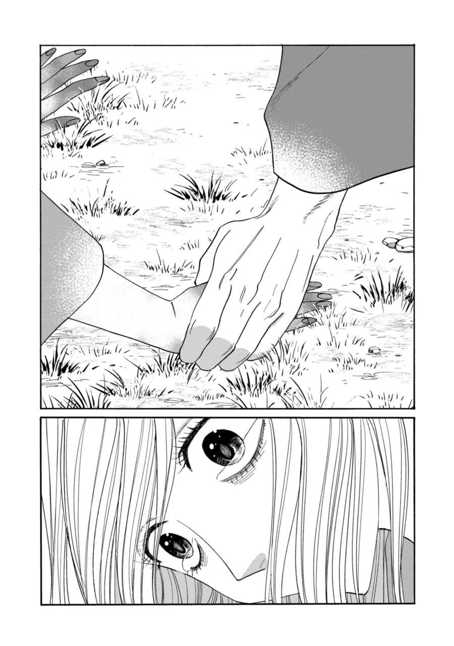 Read Firefly wedding Hotaru no Yomeiri Manga Online