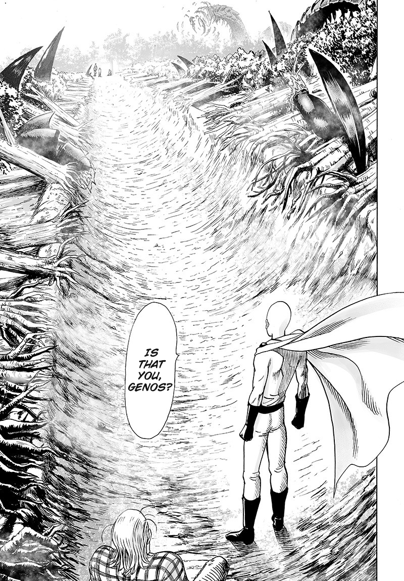 Read One-Punch Man Manga Online