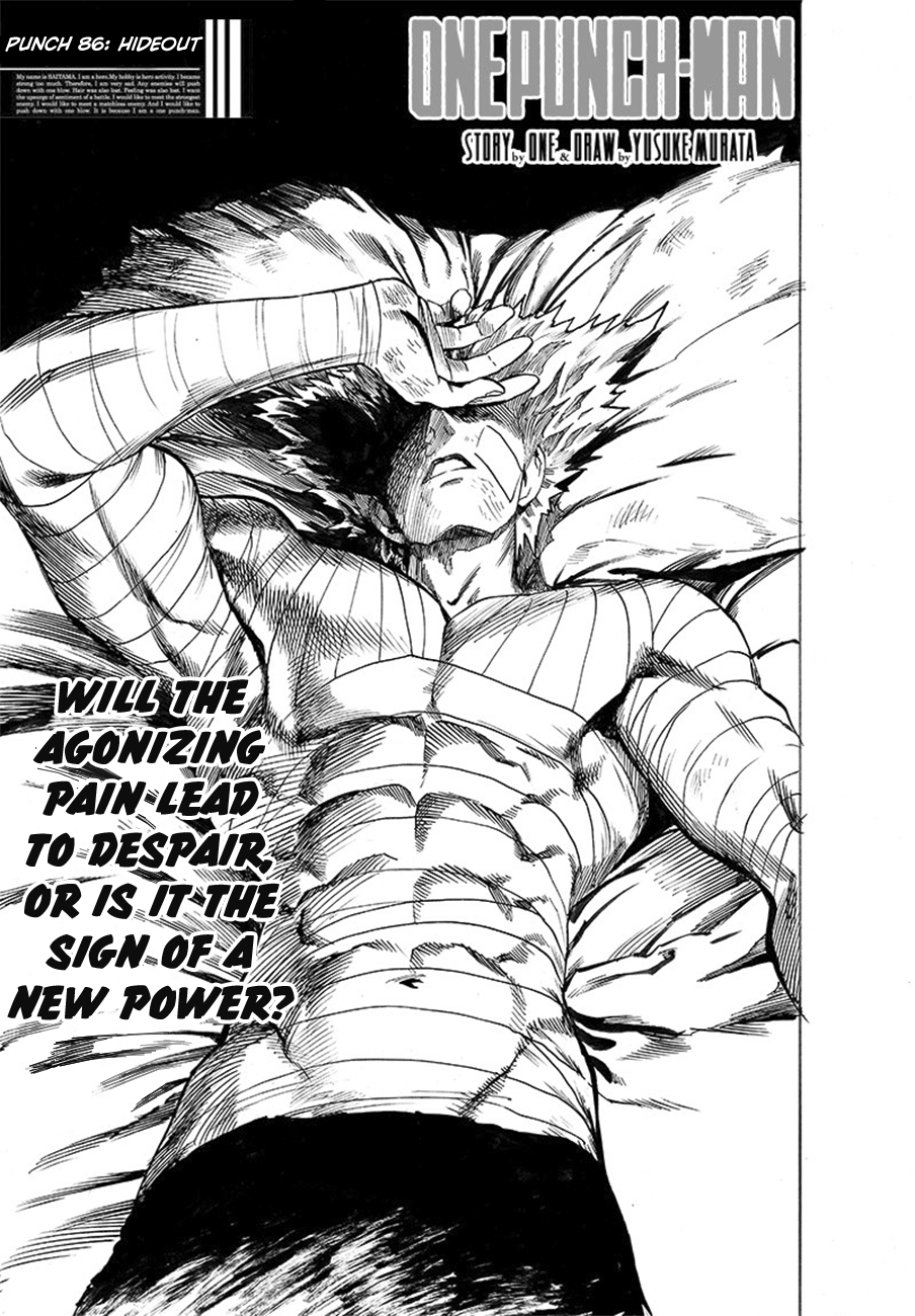 Read One-Punch Man Manga Online