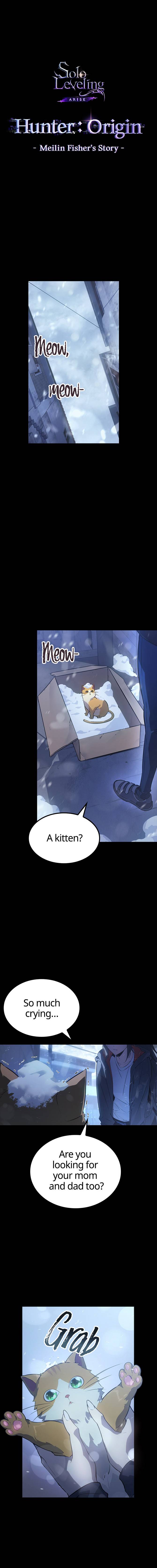 Read Solo Leveling Arise Manga Online