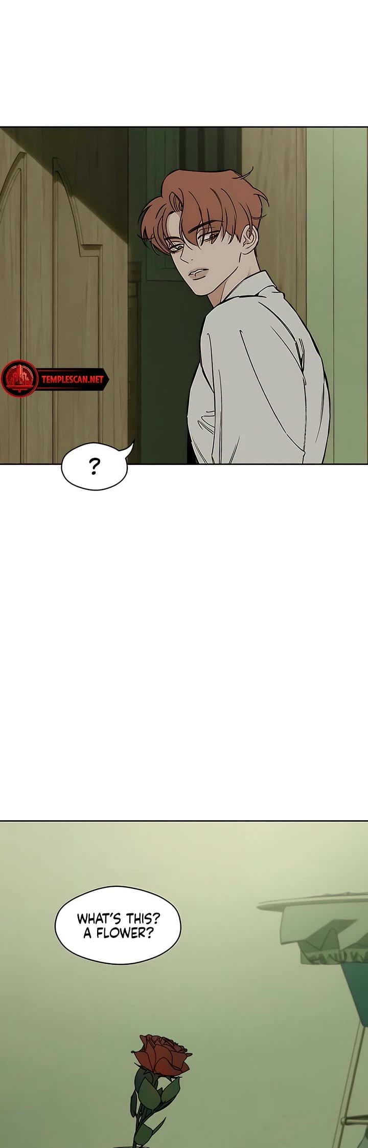 Read Tears on a Withered Flower Manga Online