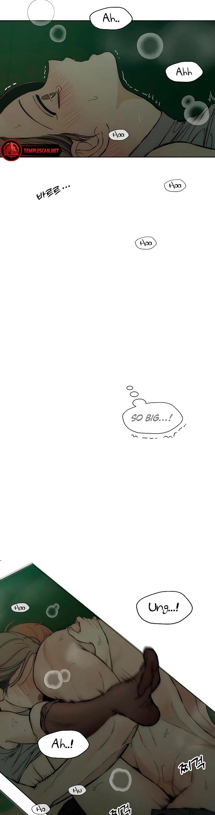 Read Tears on a Withered Flower Manga Online