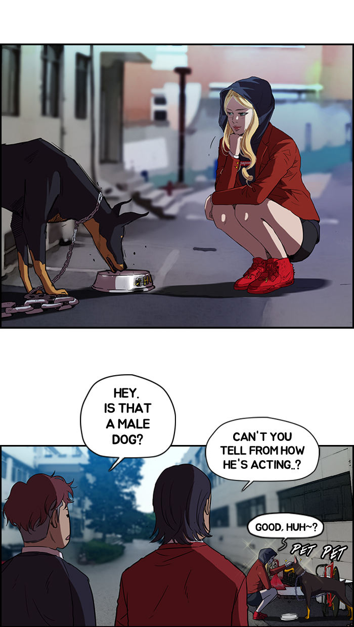 Read Wind Breaker Manga Online