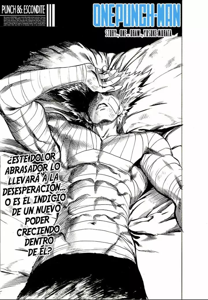 Read One Punch-Man Es Manga Online
