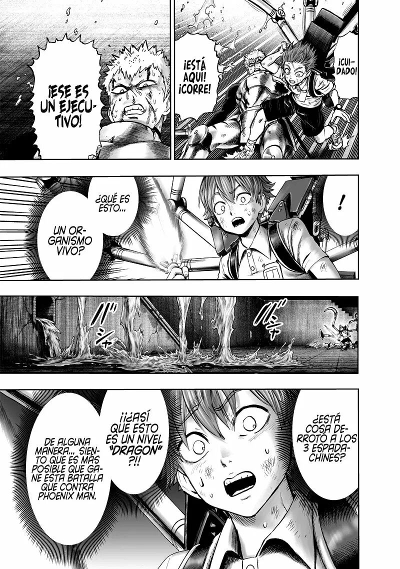 Read One Punch-Man Es Manga Online