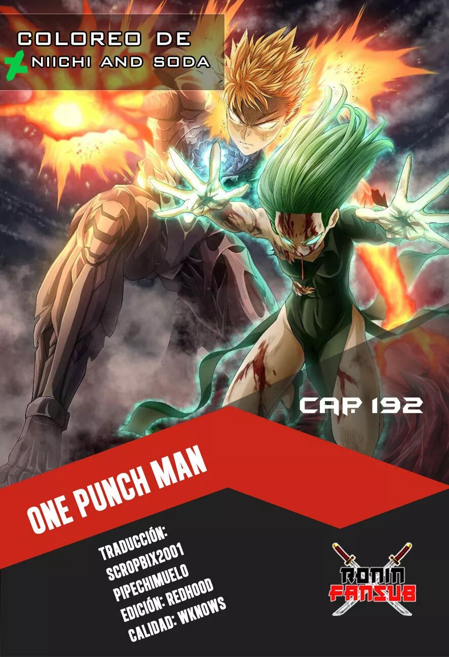 Read One Punch-Man Es Manga Online