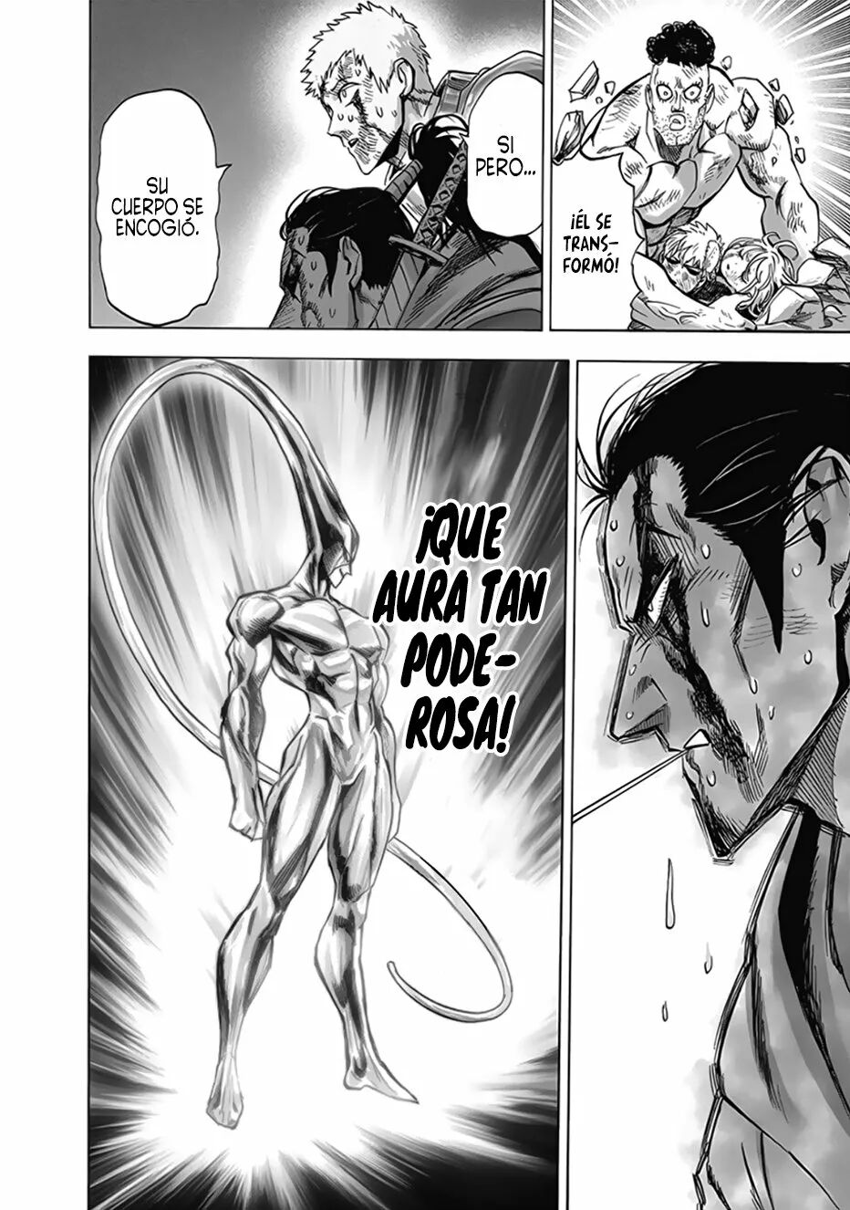 Read One Punch-Man Es Manga Online