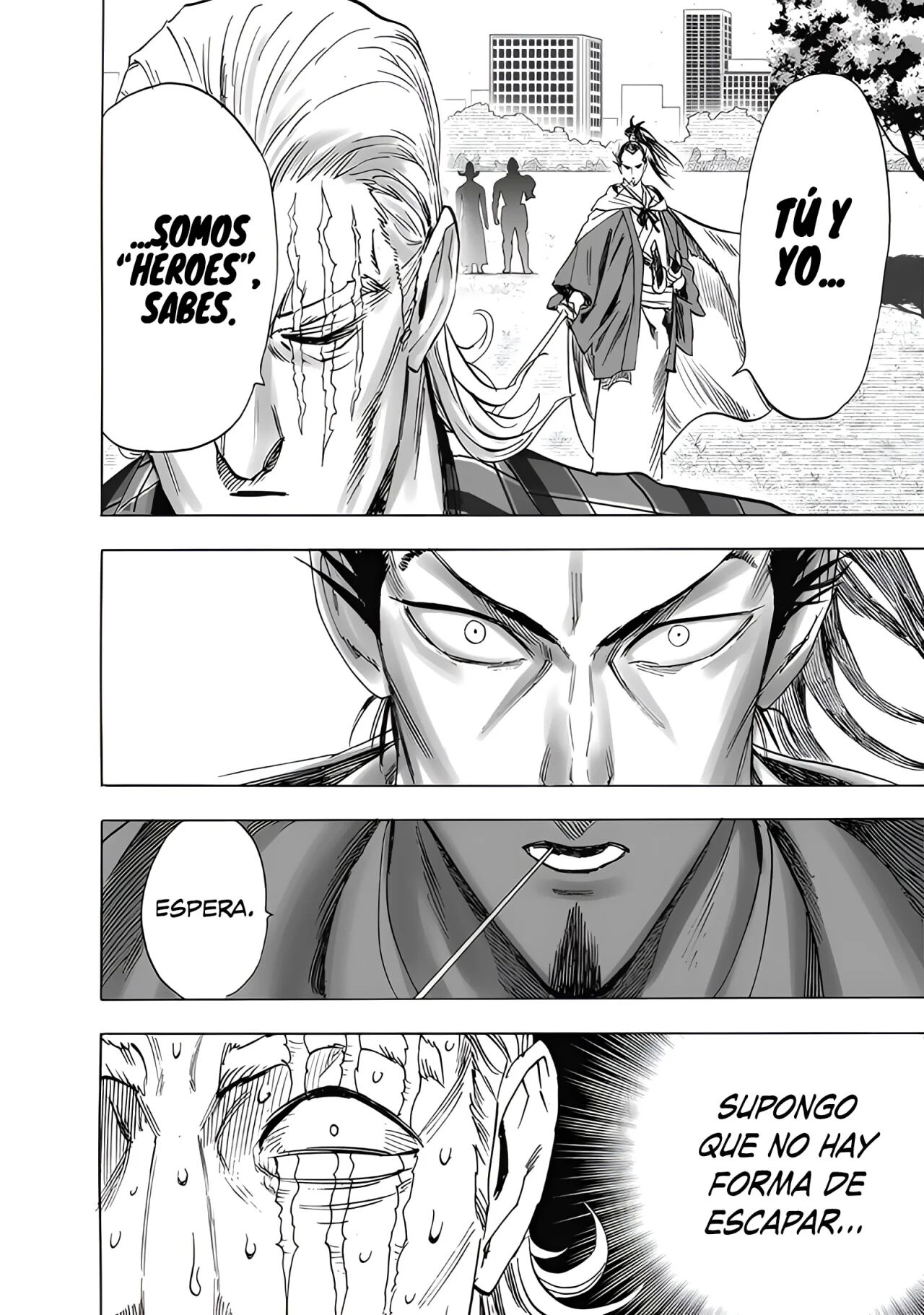 Read One Punch-Man Es Manga Online