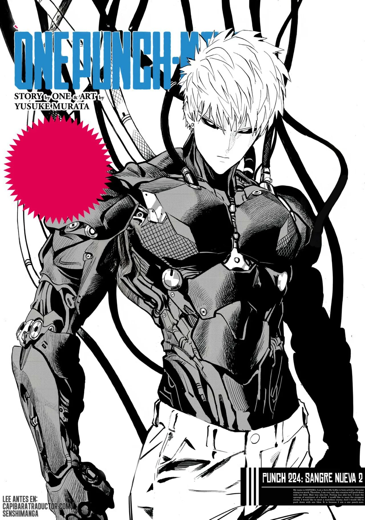 Read One Punch-Man Es Manga Online