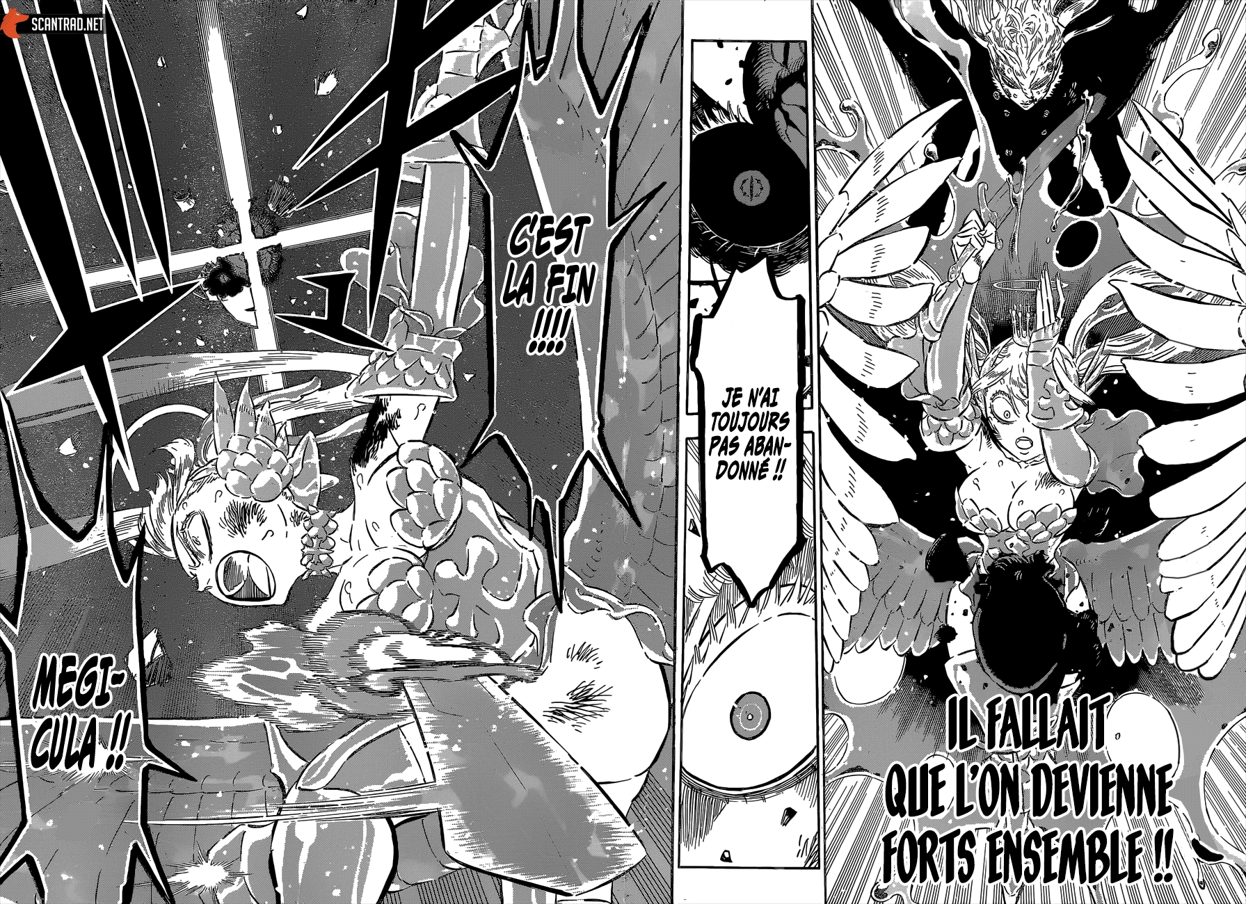 Read Black Clover vf Manga Online