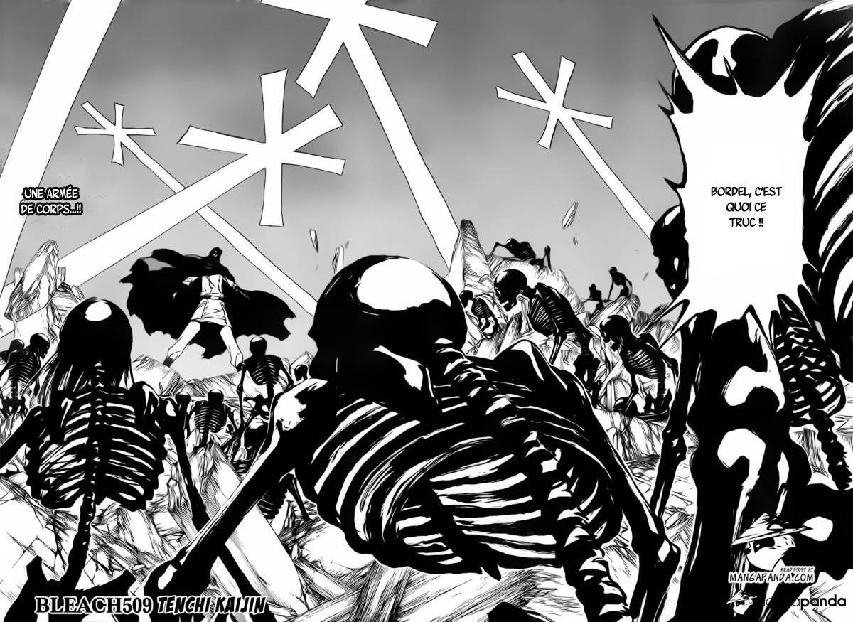 Read Bleach vf Manga Online