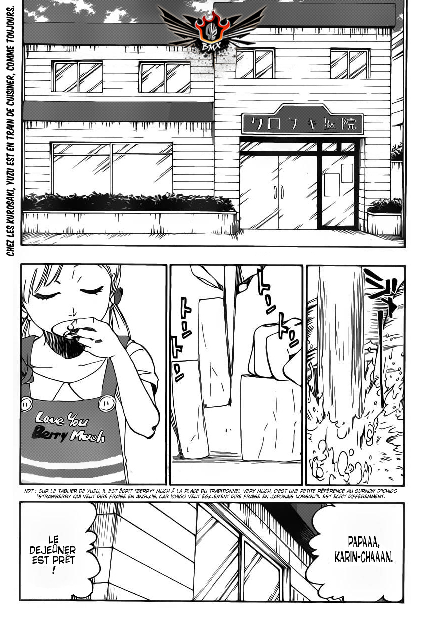 Read Bleach vf Manga Online