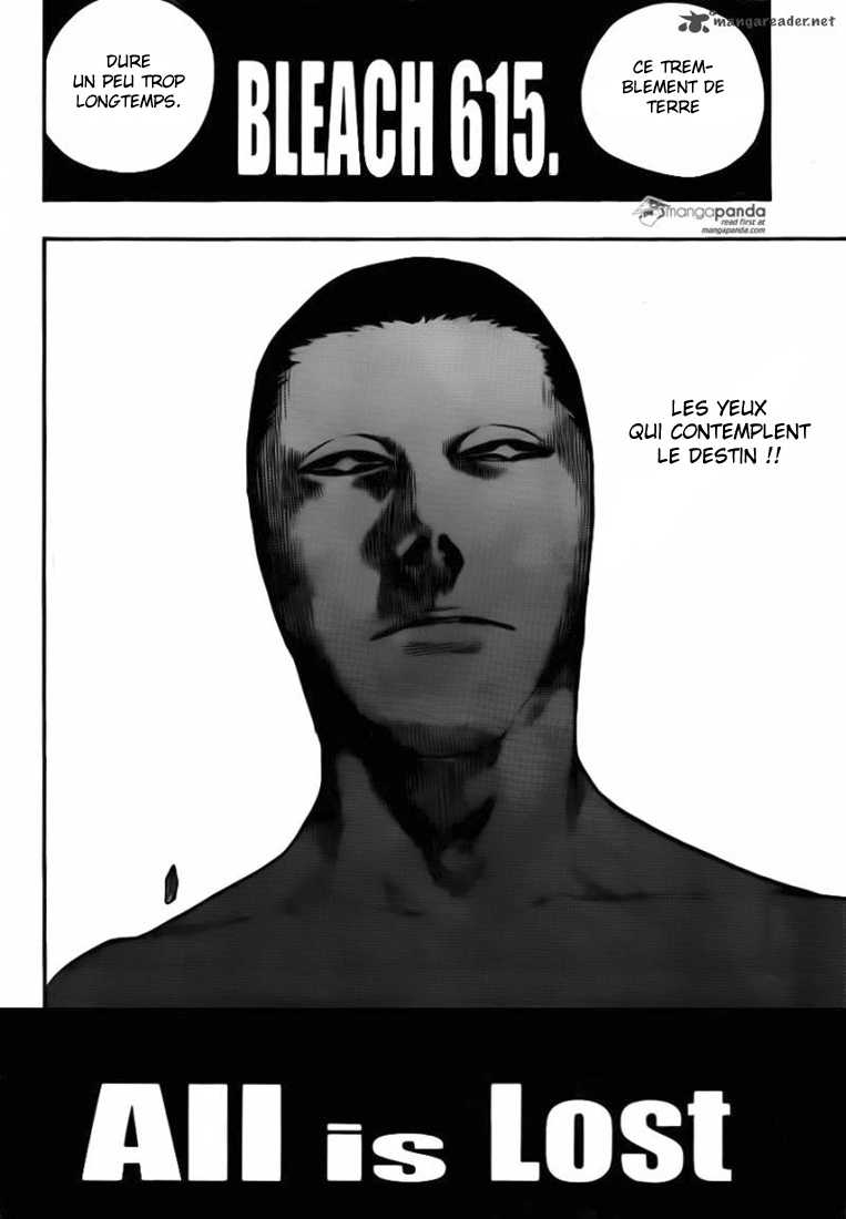 Read Bleach vf Manga Online