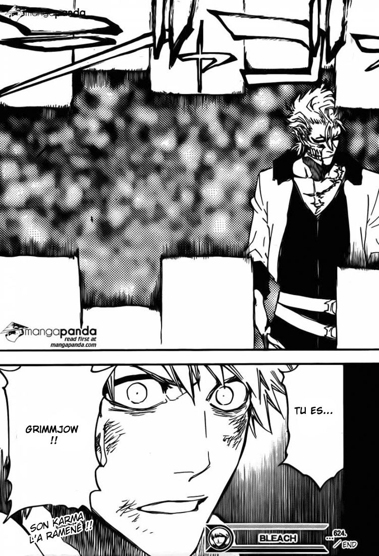 Read Bleach vf Manga Online