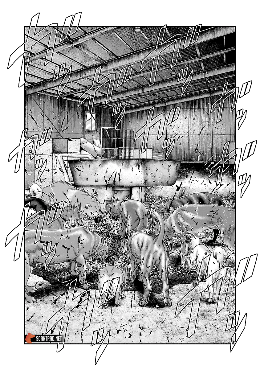 Read Bouncer vf Manga Online