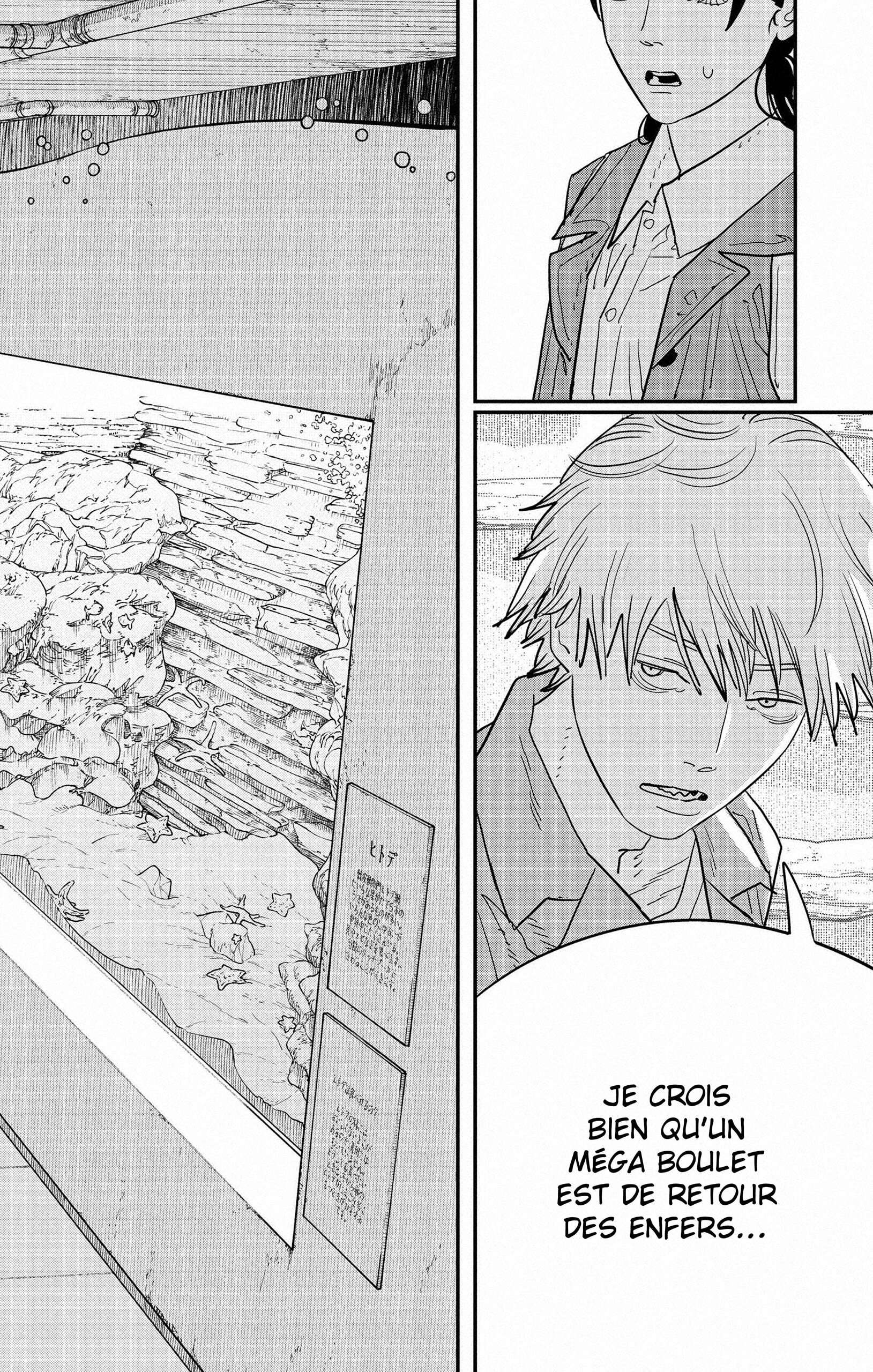 Read Chainsaw Man vf Manga Online