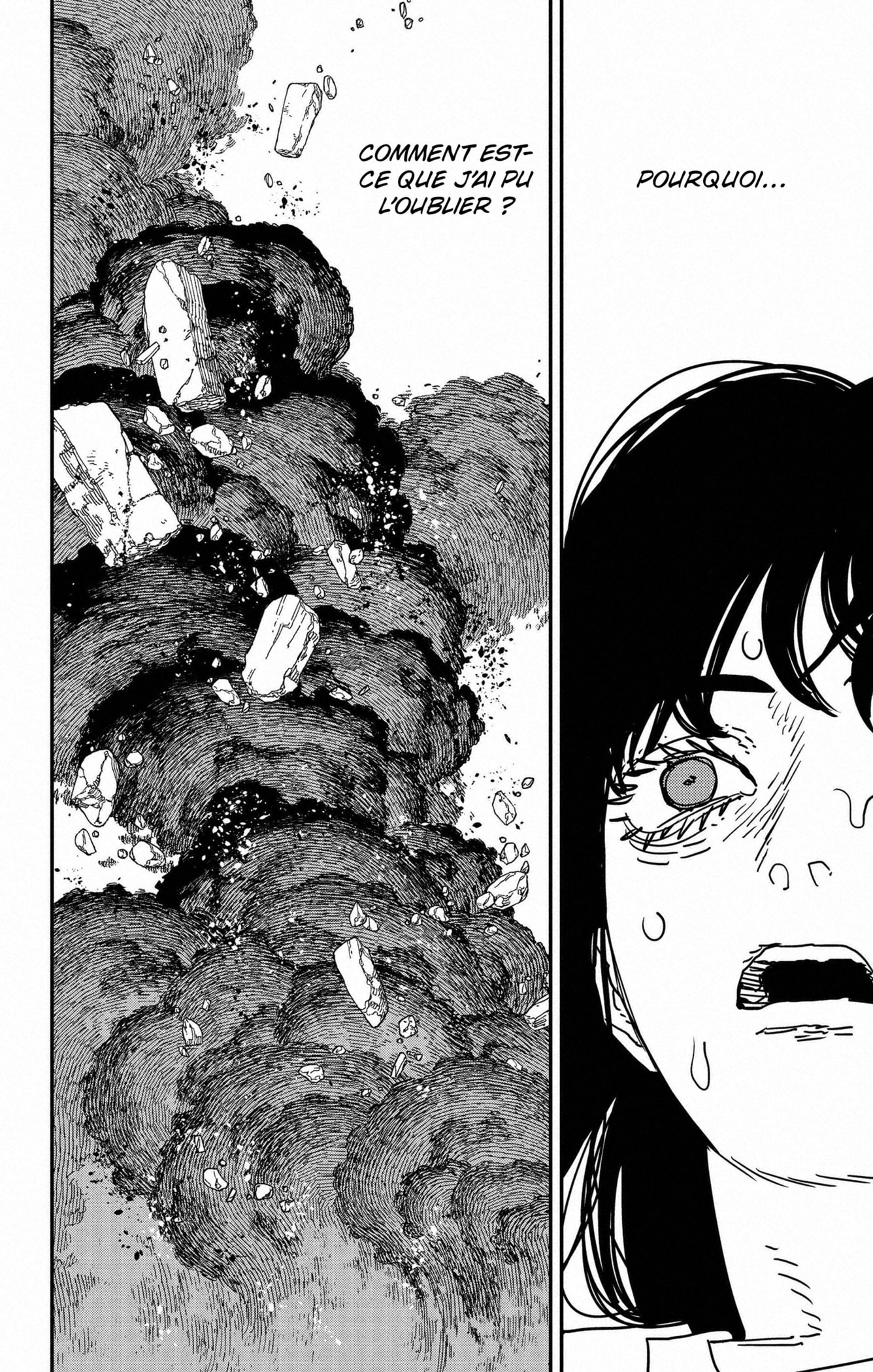Read Chainsaw Man vf Manga Online