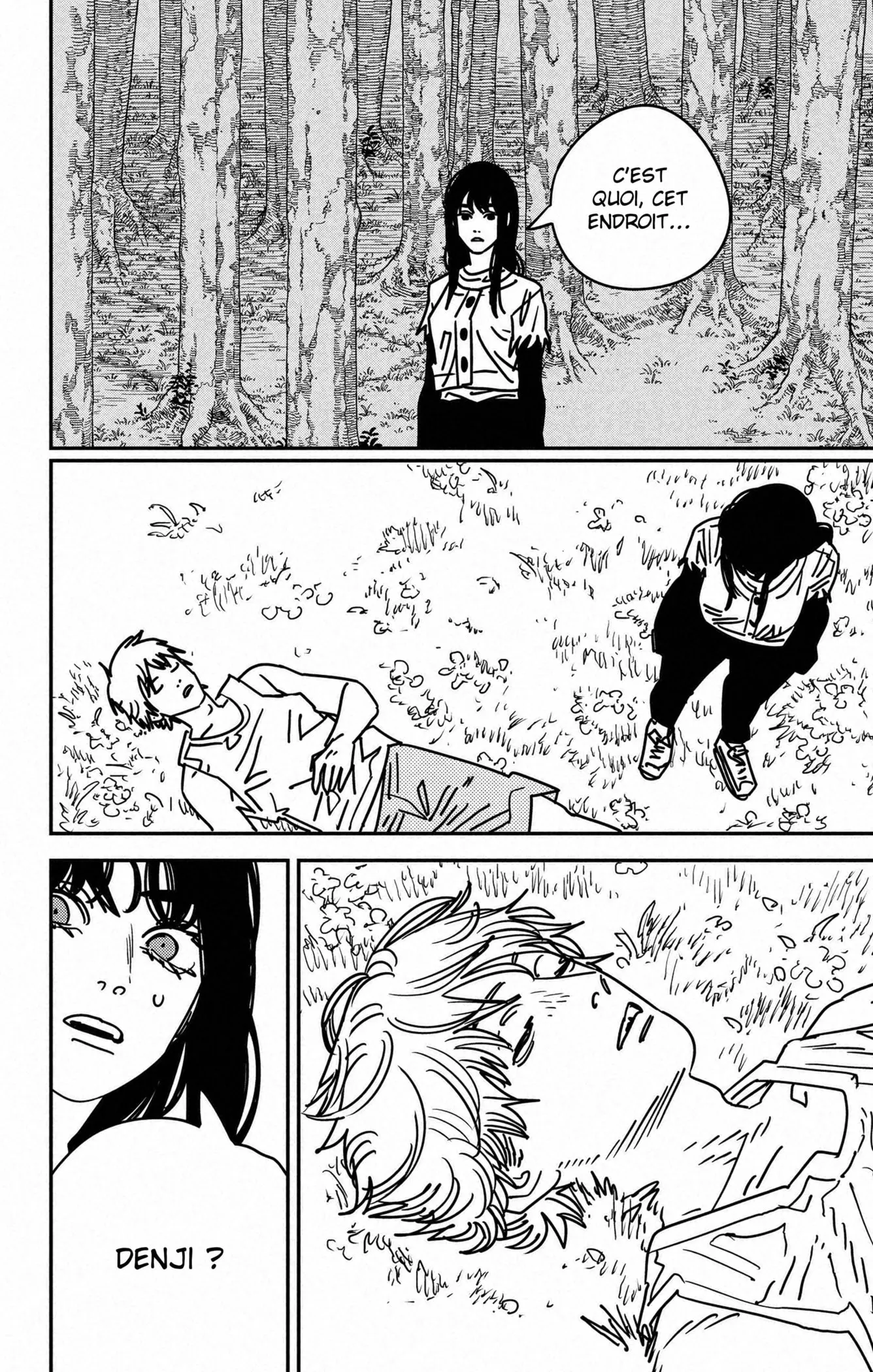 Read Chainsaw Man vf Manga Online
