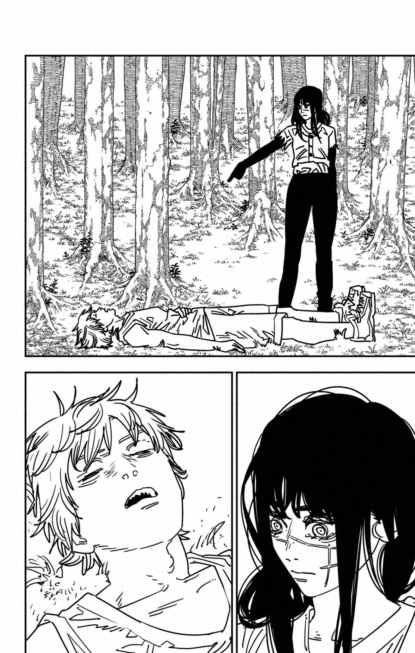 Read Chainsaw Man vf Manga Online