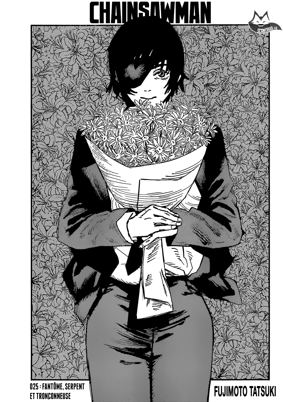 Read Chainsaw Man vf Manga Online
