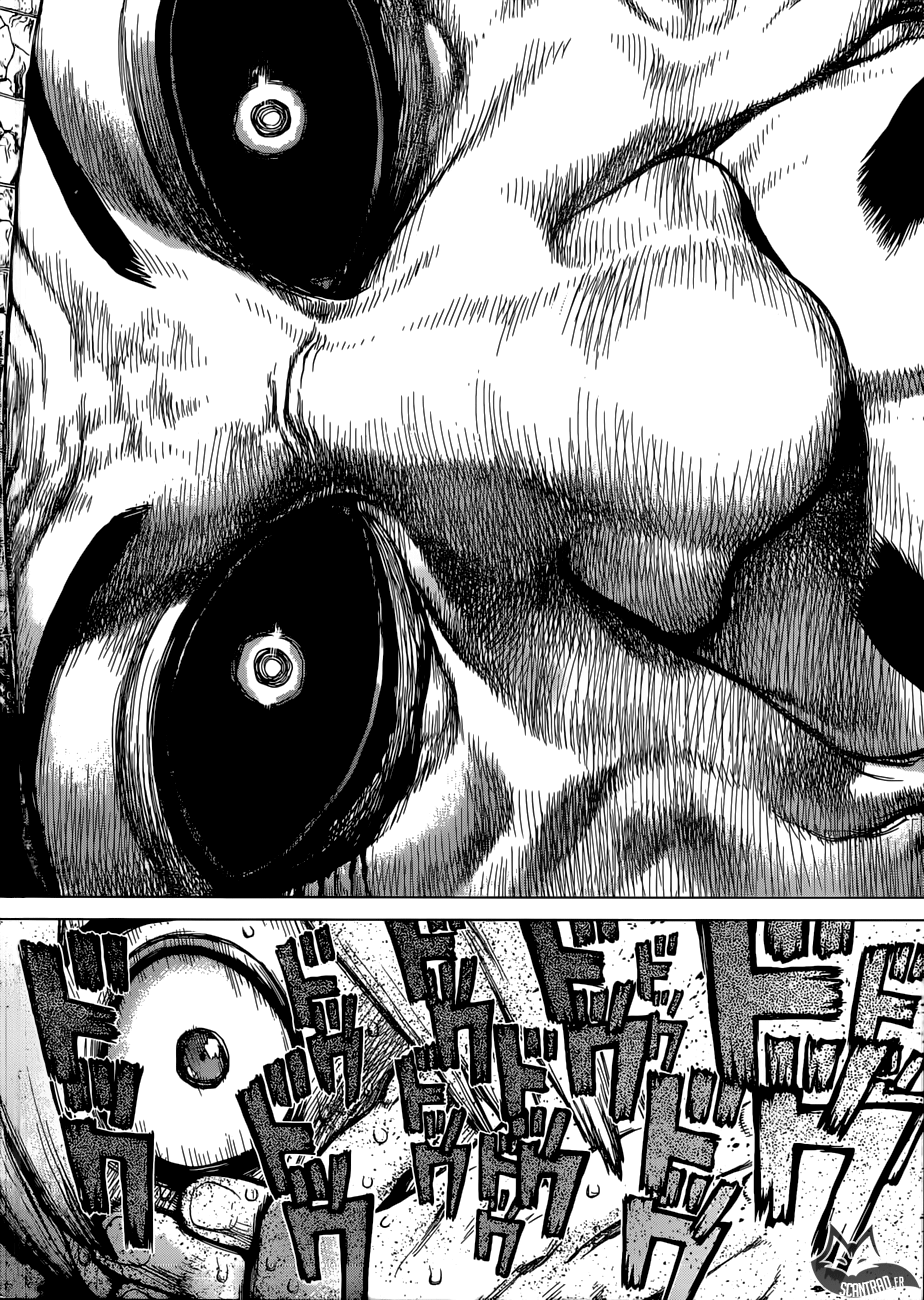Read Dr. Stone vf Manga Online