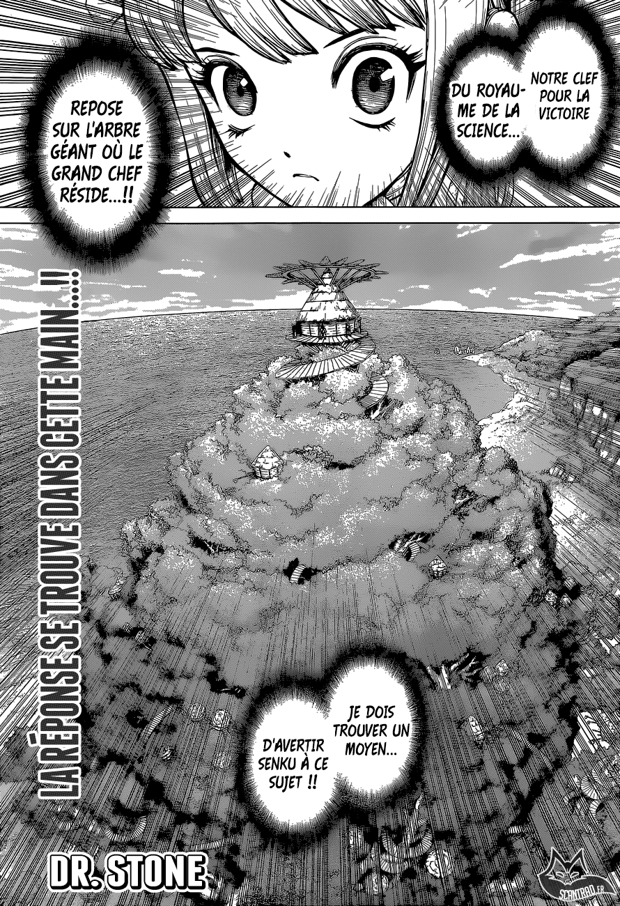 Read Dr. Stone vf Manga Online