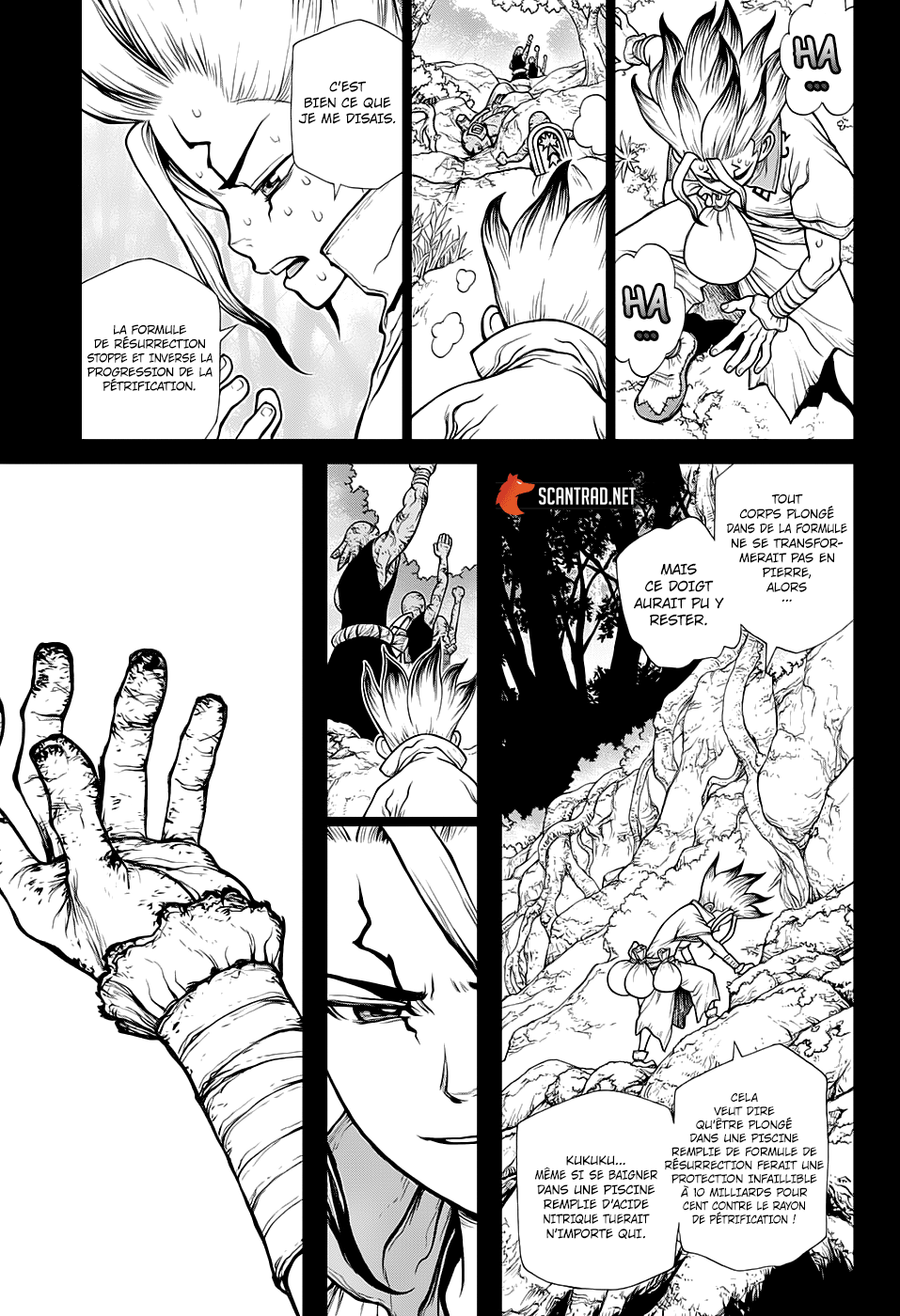 Read Dr. Stone vf Manga Online