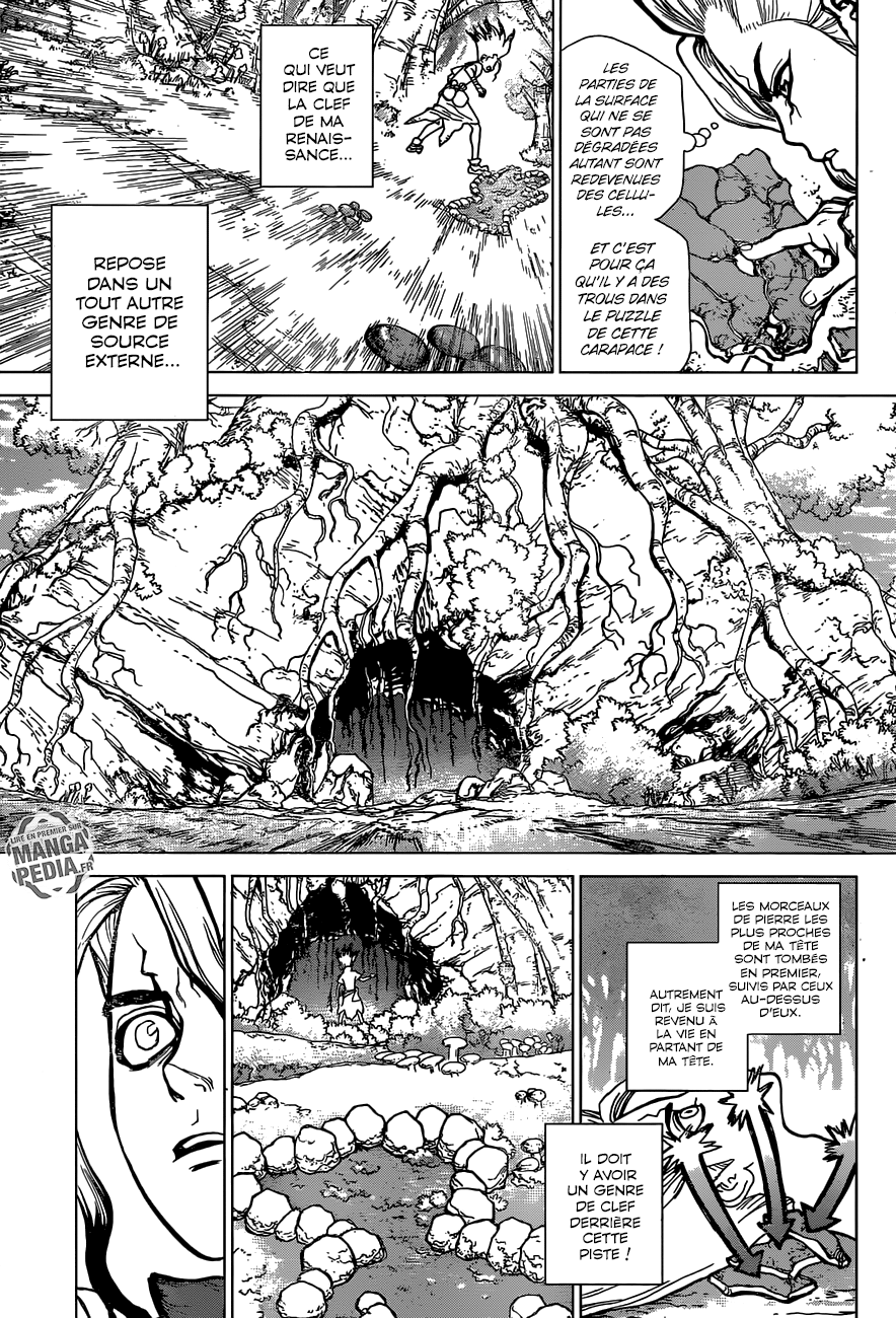 Read Dr. Stone vf Manga Online