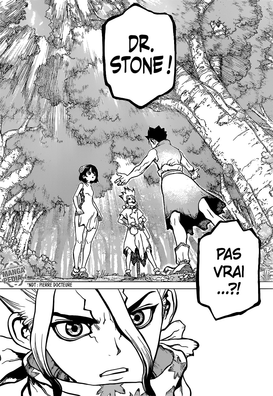 Read Dr. Stone vf Manga Online