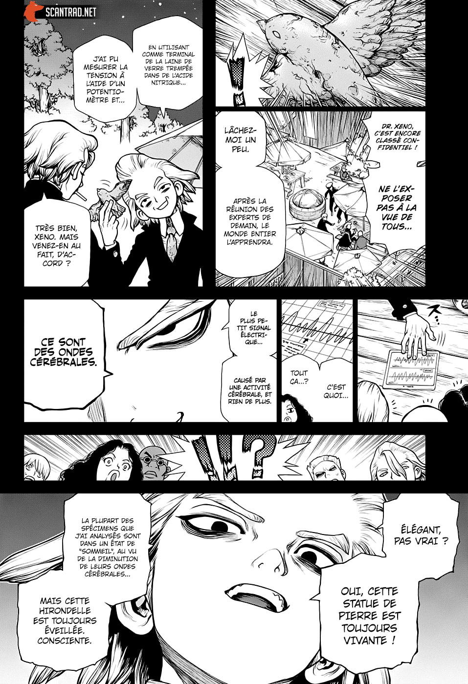 Read Dr. Stone vf Manga Online