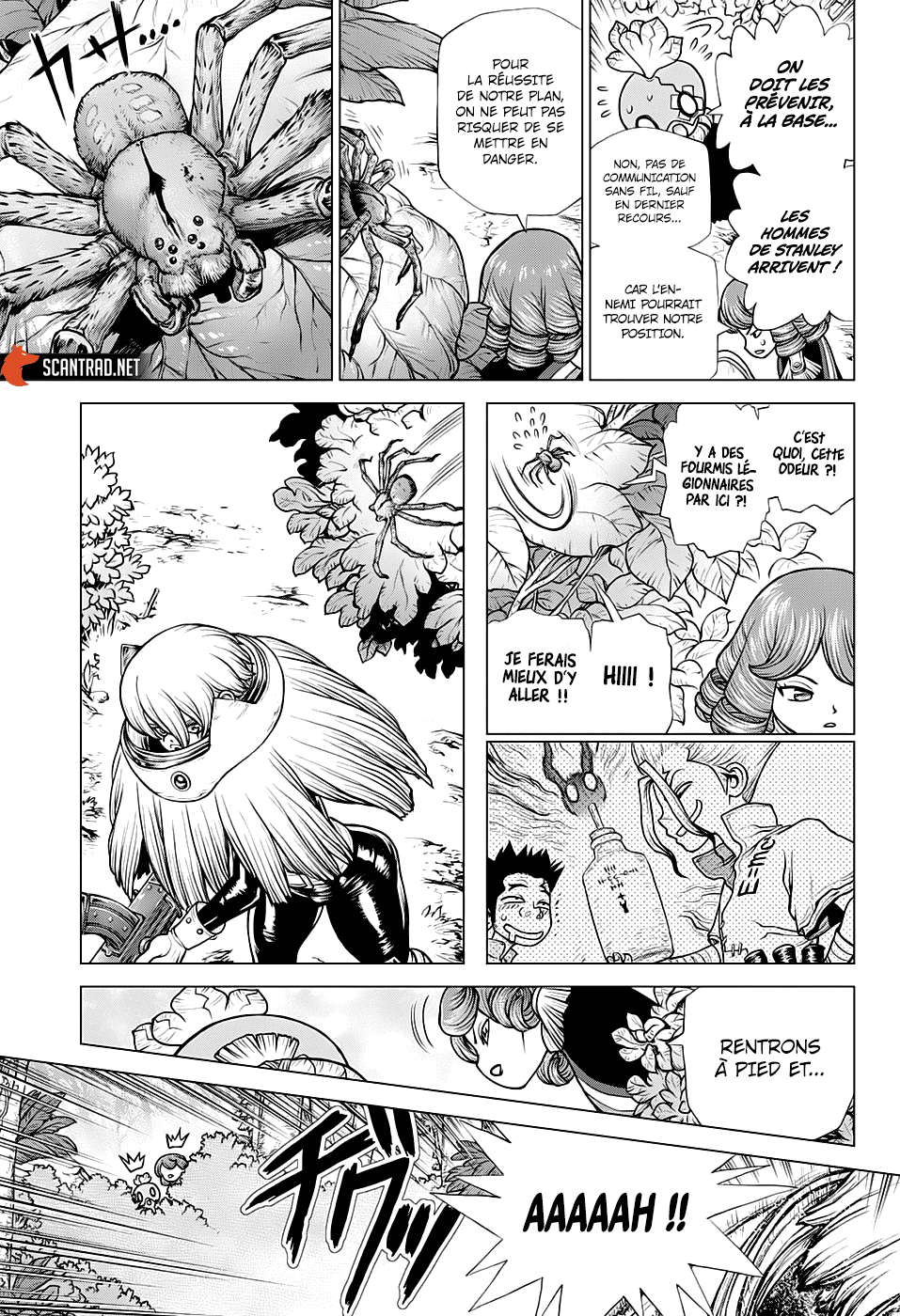 Read Dr. Stone vf Manga Online