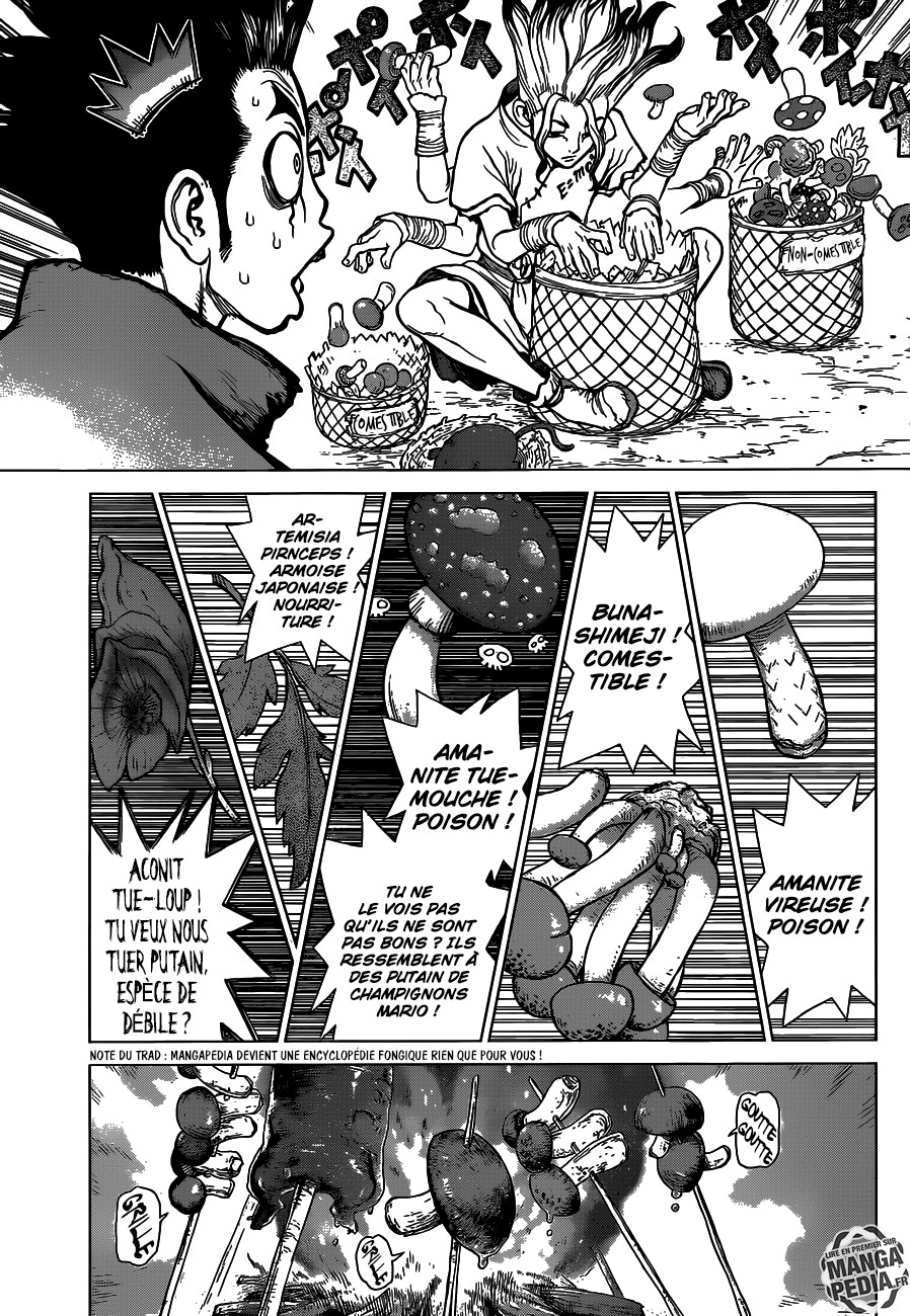 Read Dr. Stone vf Manga Online