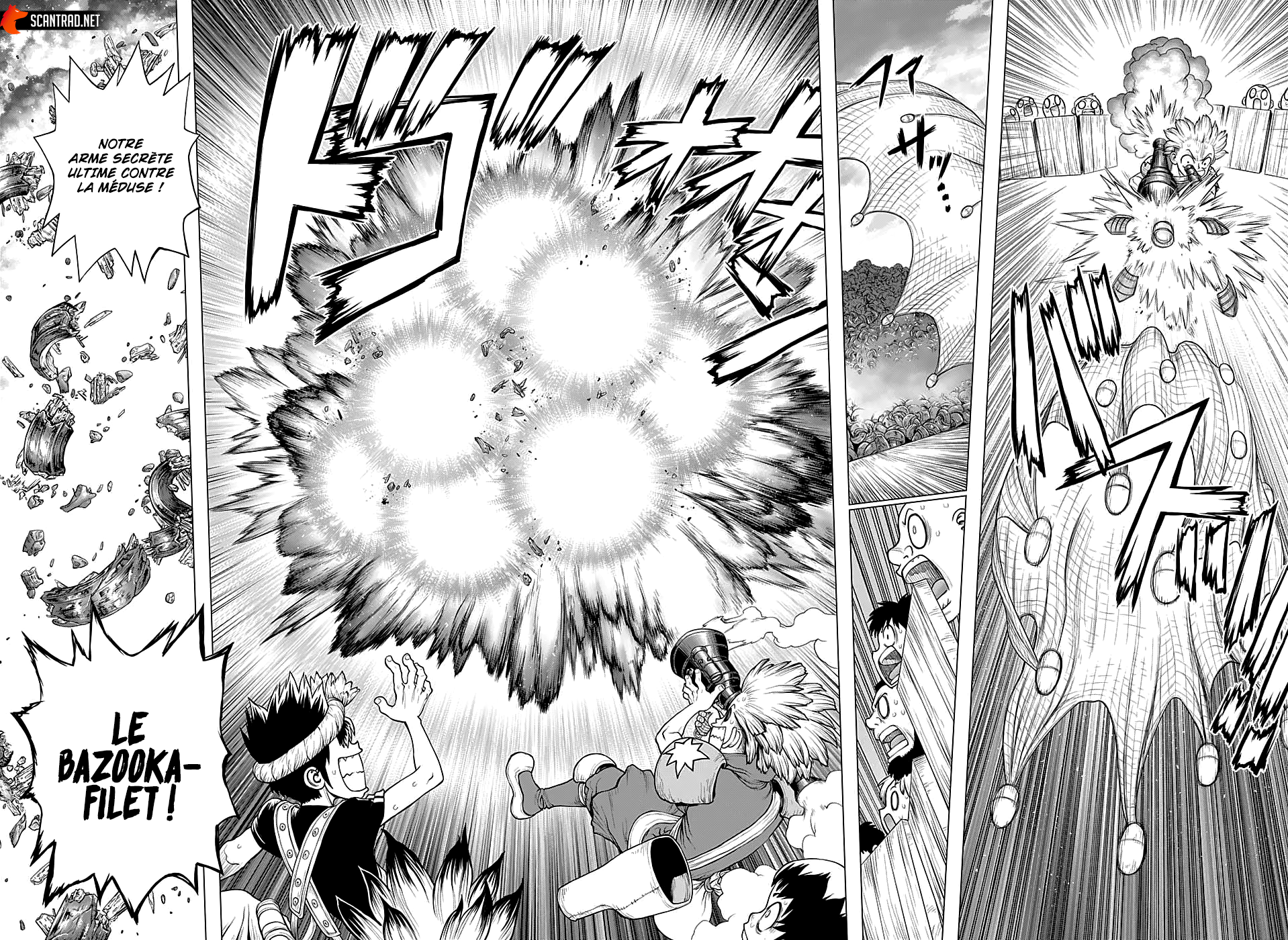 Read Dr. Stone vf Manga Online