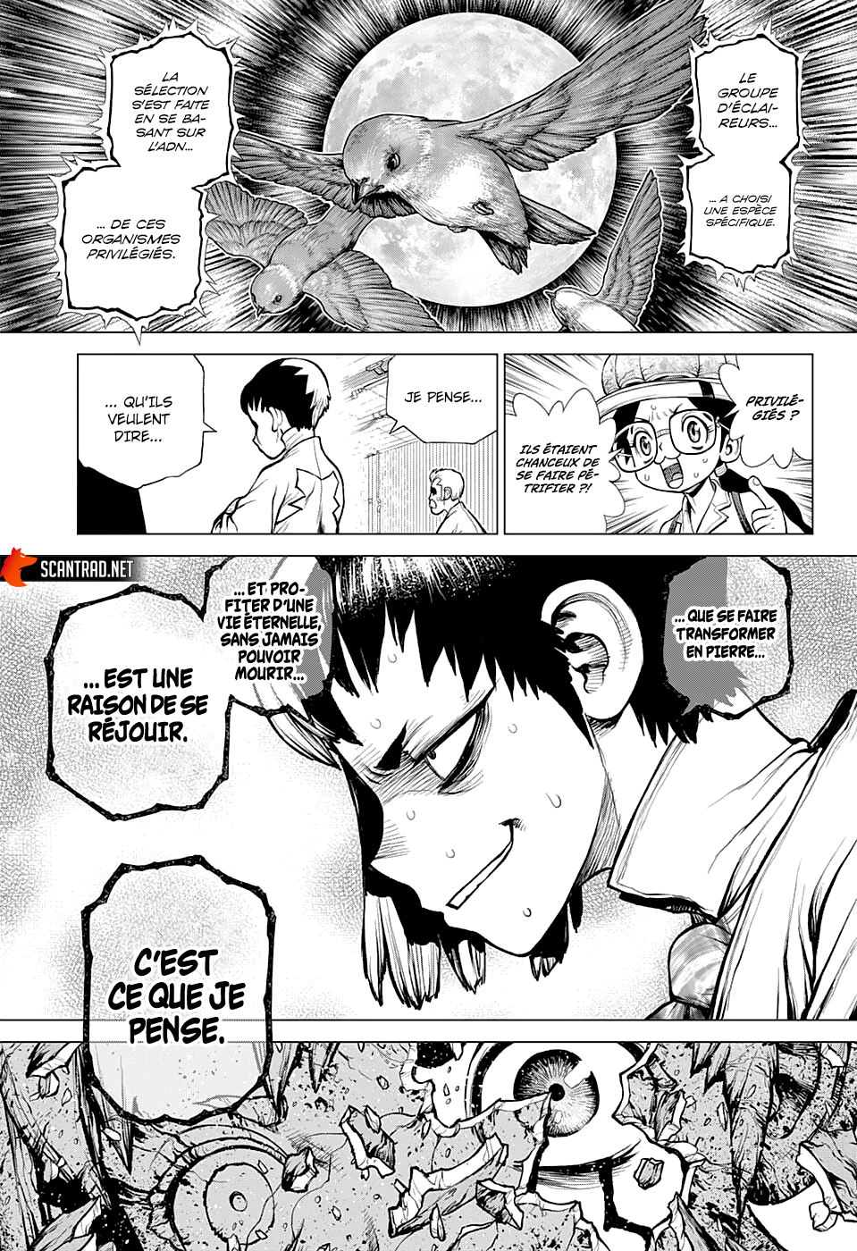 Read Dr. Stone vf Manga Online