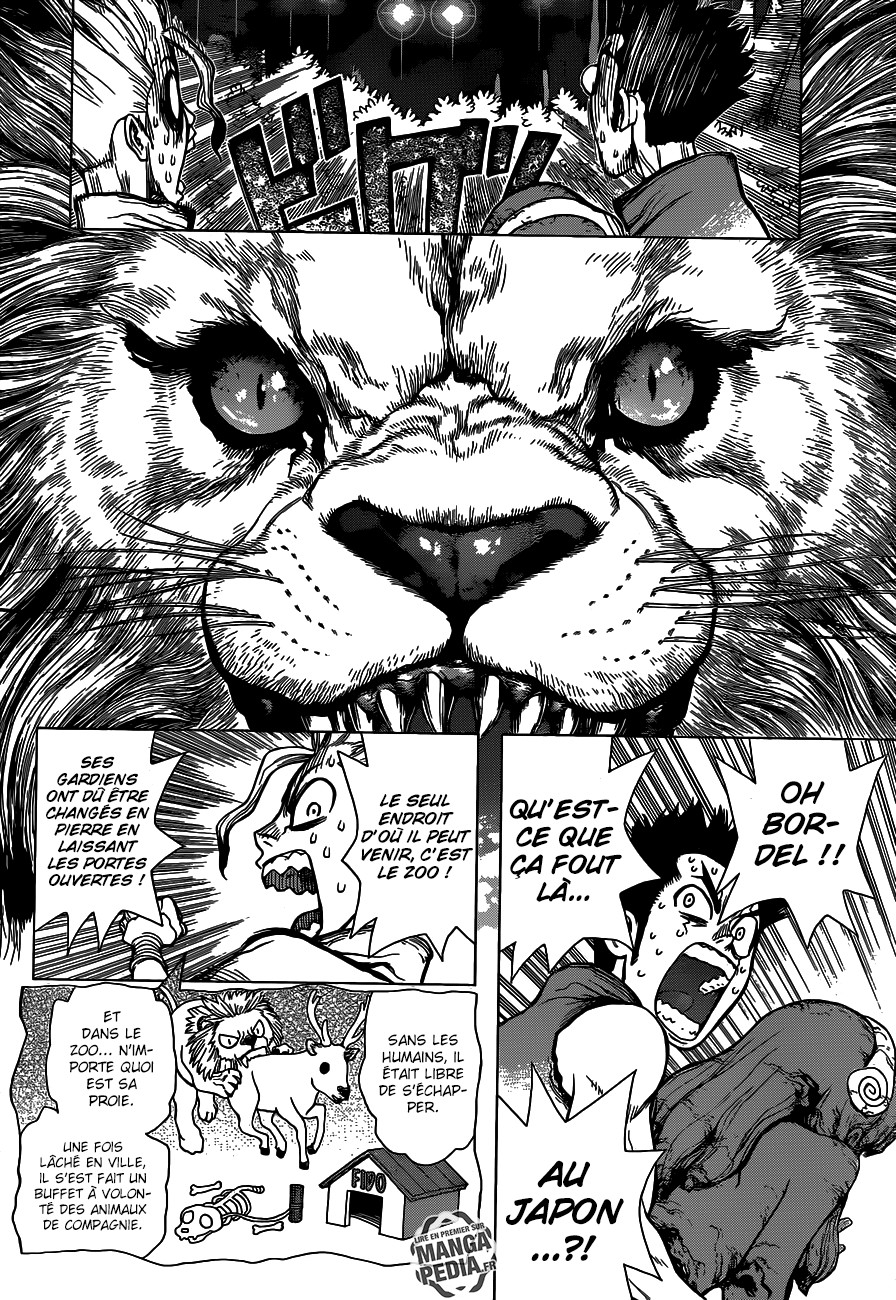 Read Dr. Stone vf Manga Online