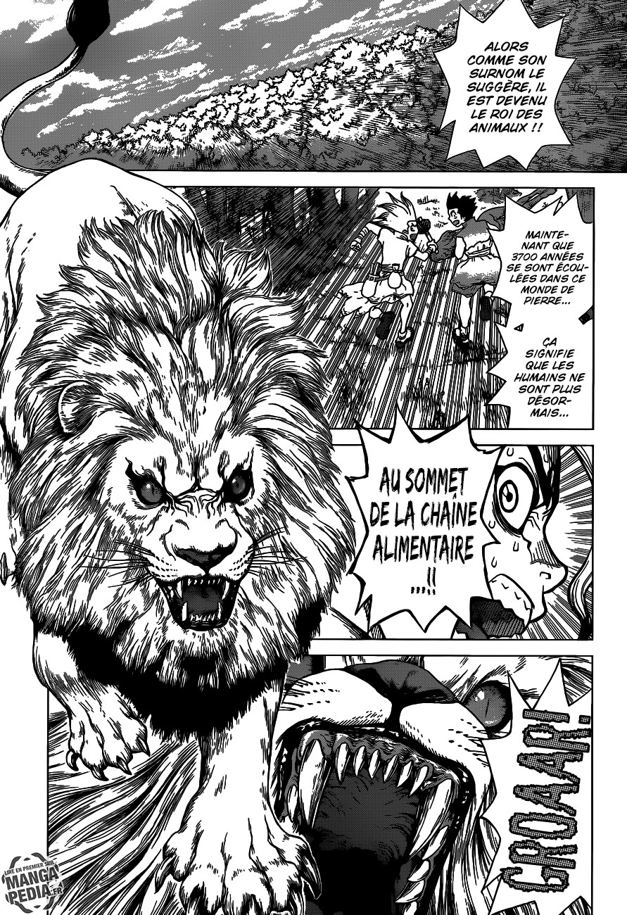 Read Dr. Stone vf Manga Online