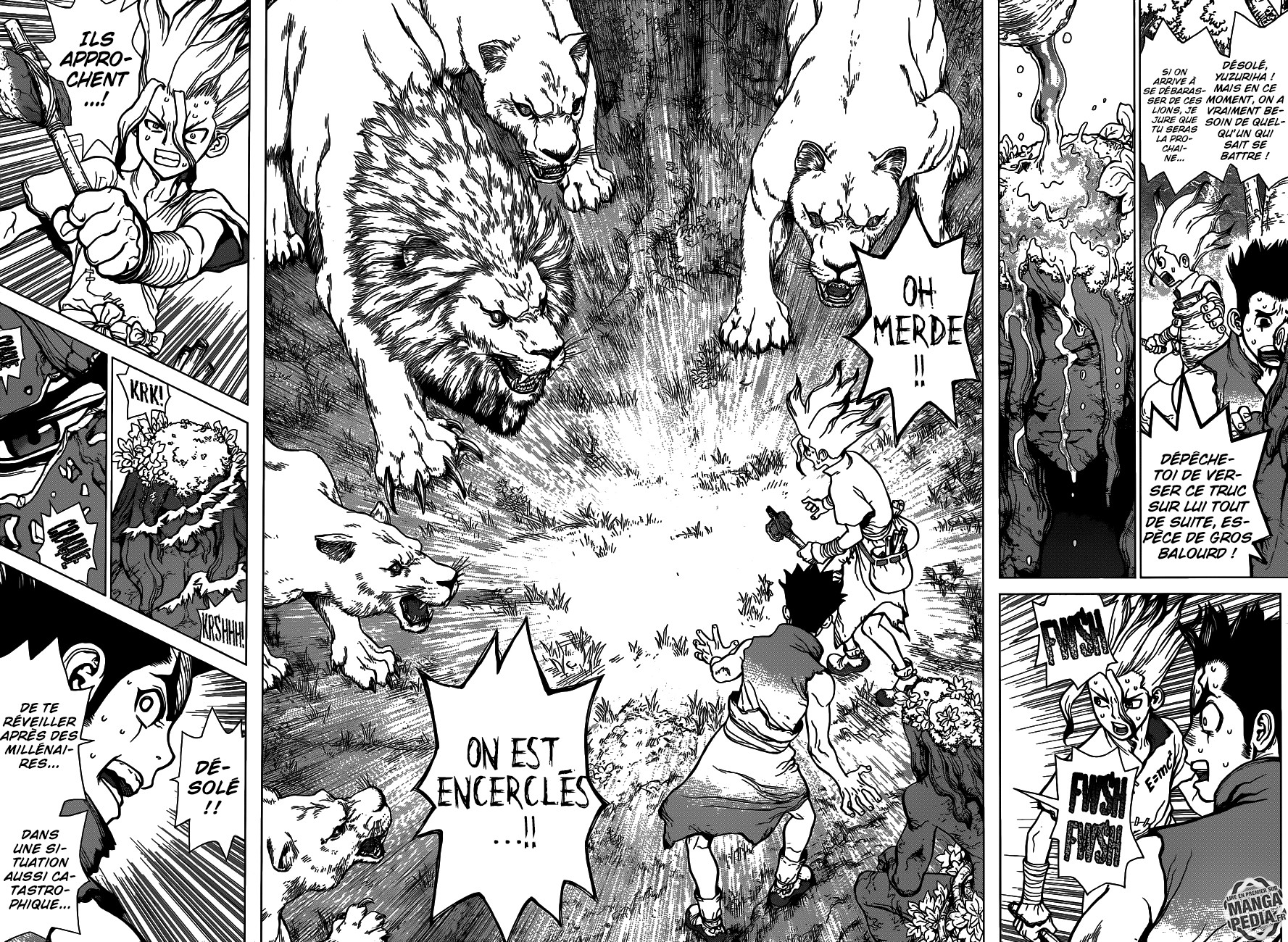 Read Dr. Stone vf Manga Online
