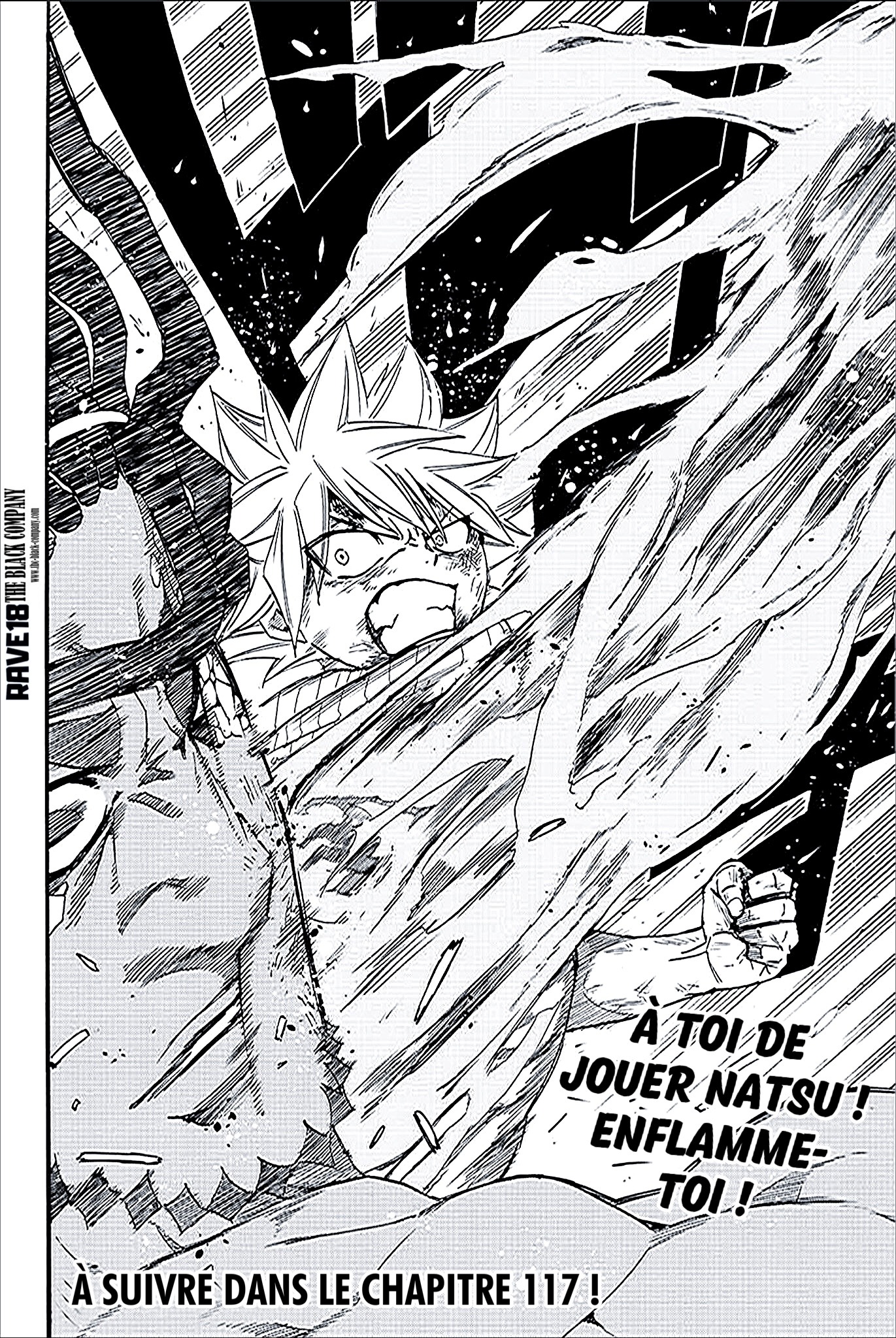 Read Fairy Tail 100 Years Quest vf Manga Online