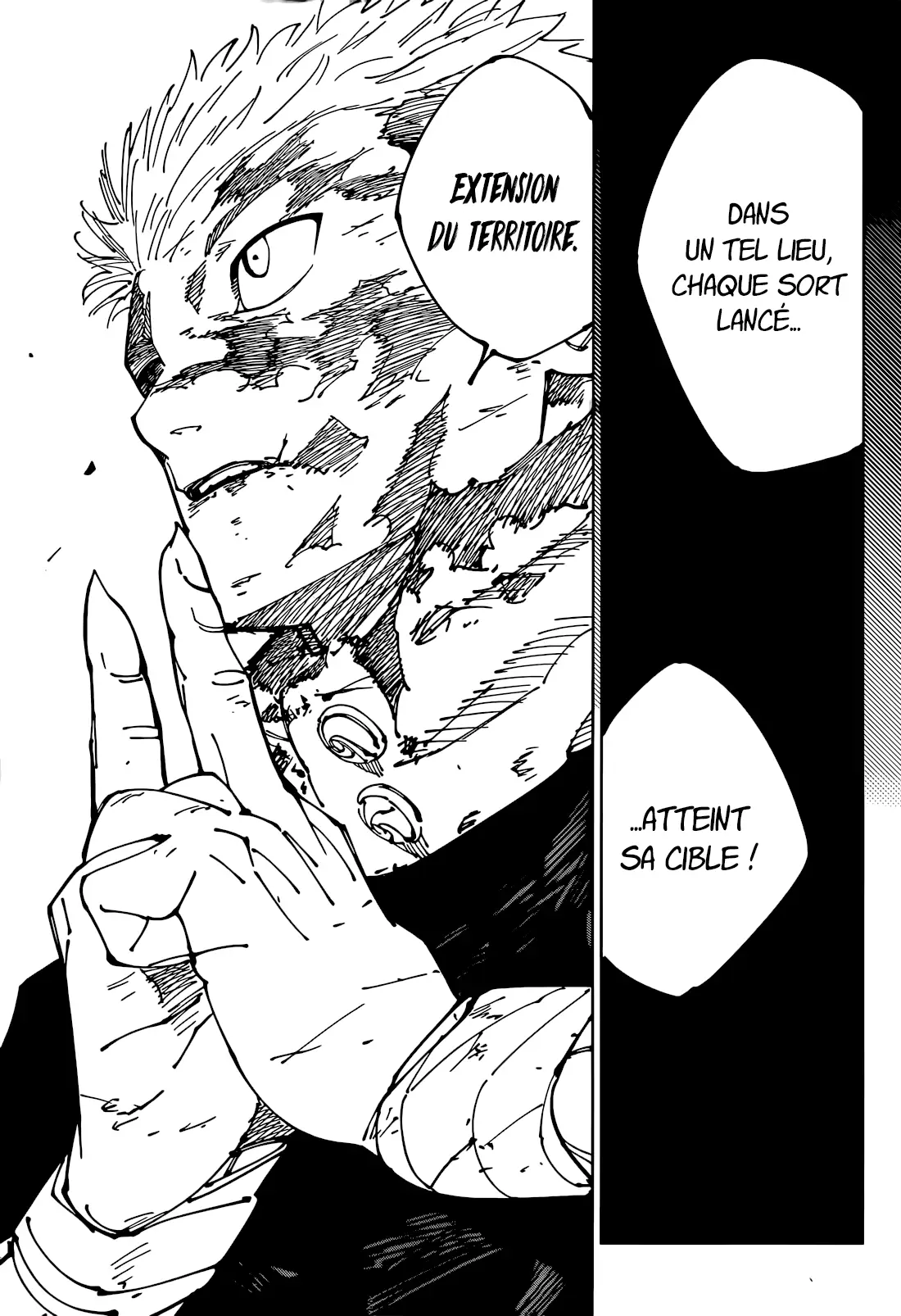 Read Jujutsu Kaisen vf Manga Online