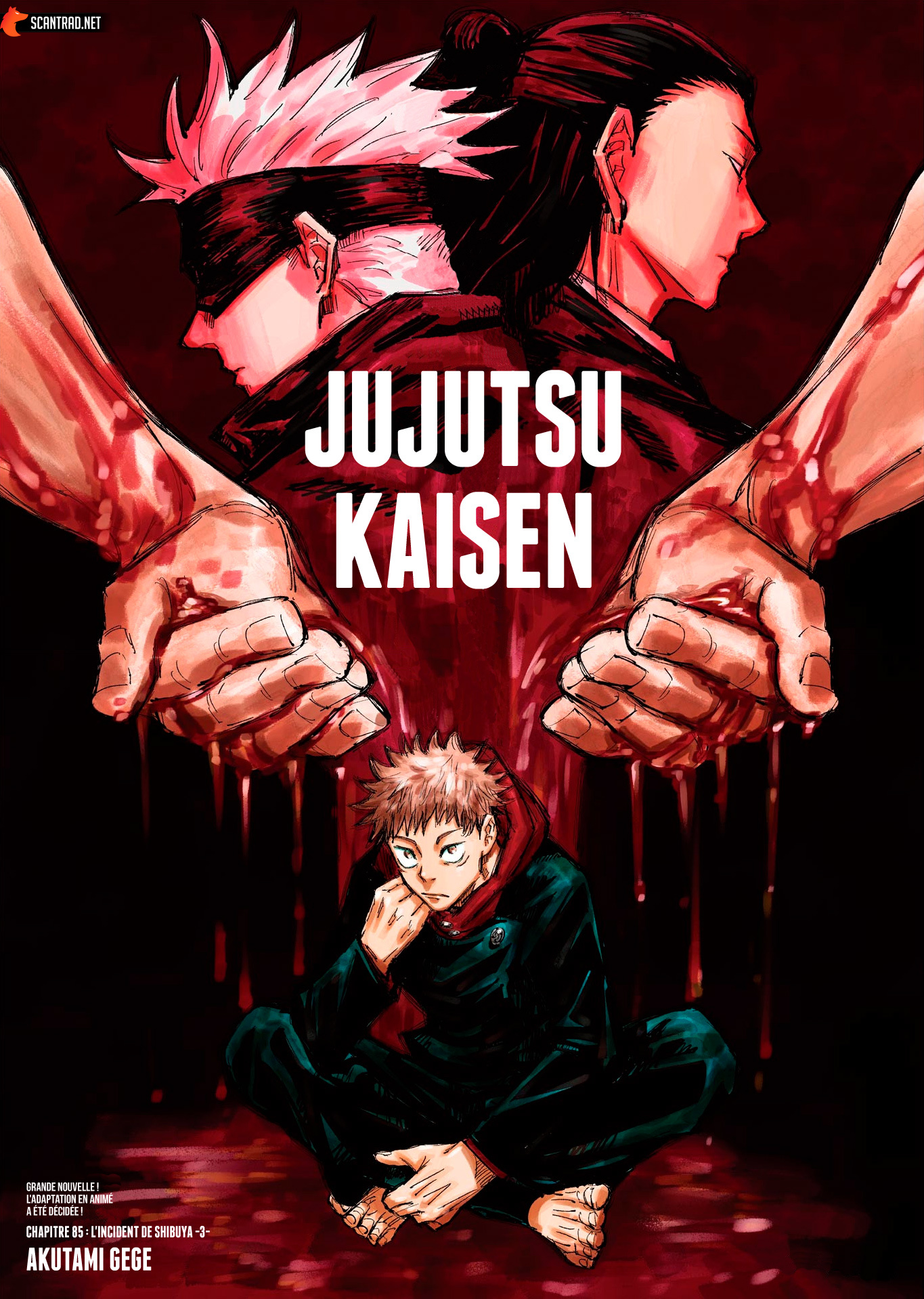 Read Jujutsu Kaisen vf Manga Online